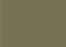 Lichen roof colour