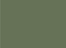 Mist Green roof colour