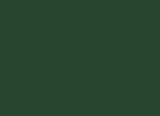 Permanent Green roof colour