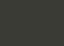 Thunder Grey roof colour